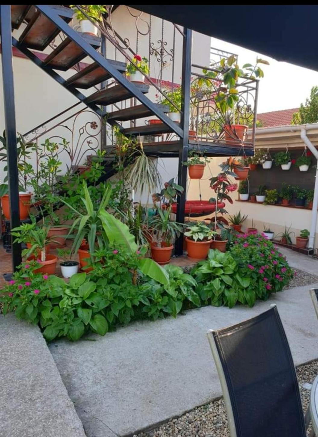 Hotel Vila Robert Schitu Exterior foto