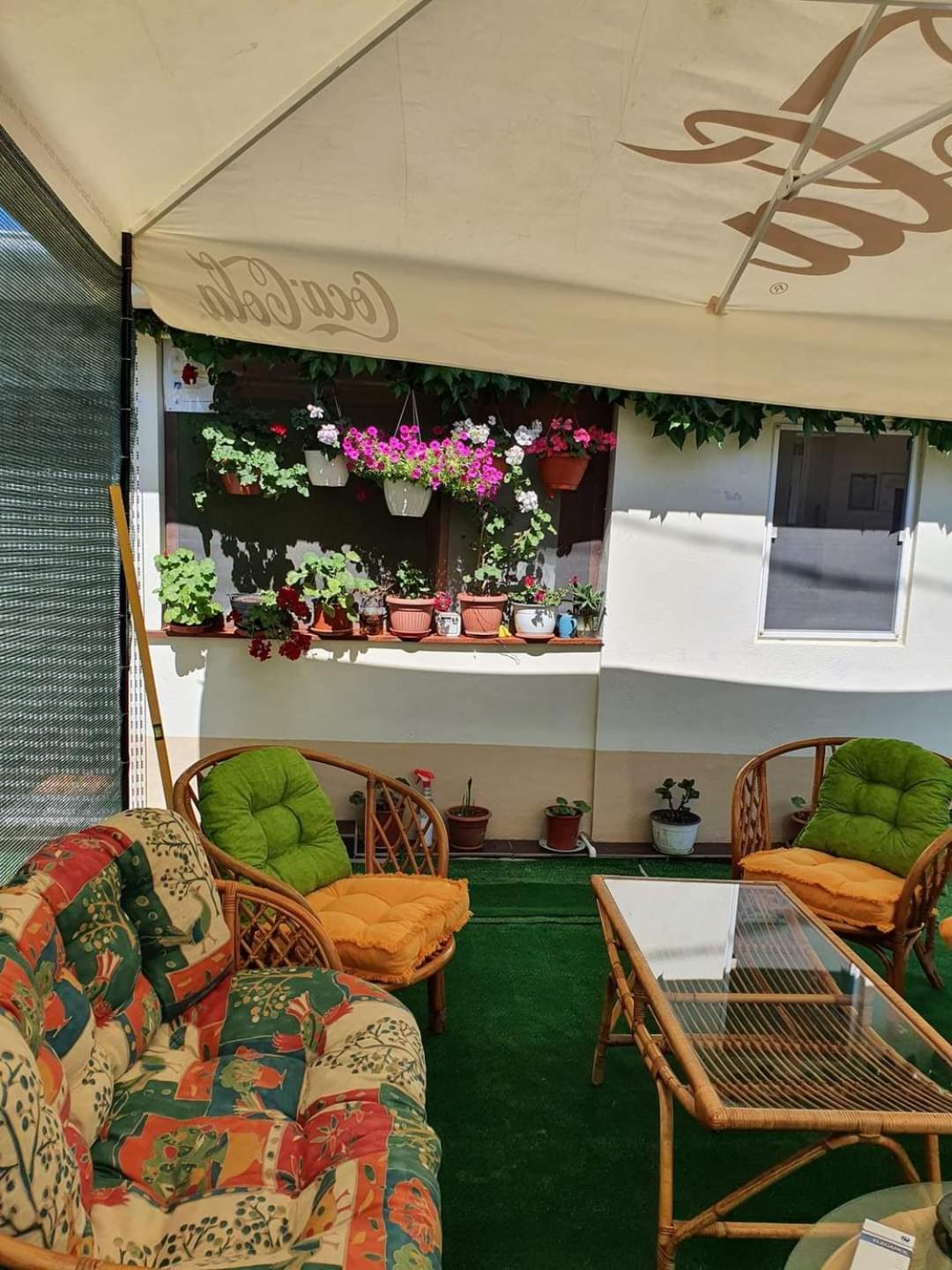 Hotel Vila Robert Schitu Exterior foto